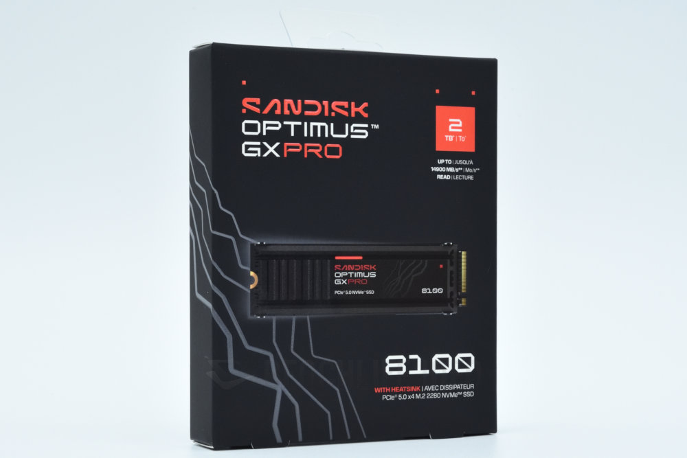 SANDISK Optimus GX PRO 8100 NVMe SSD (1)